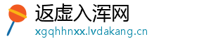 返虚入浑网